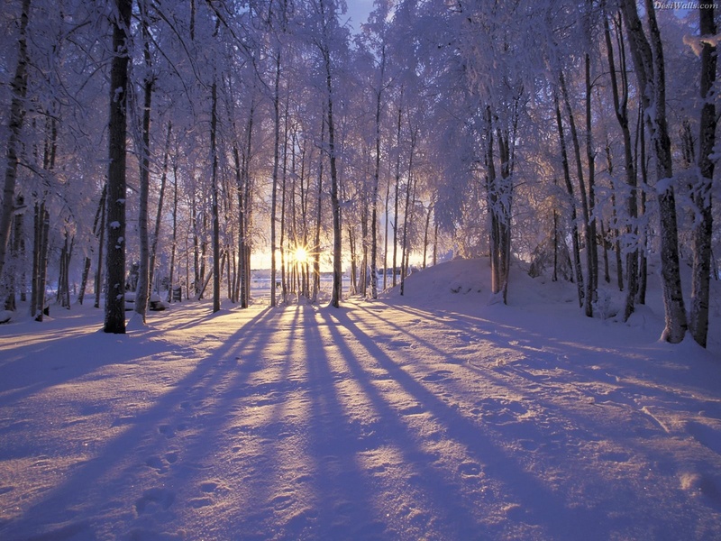 bavarianroots feat.Adur! - Winter