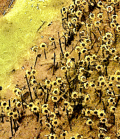 detroit togolès - recycling fields
