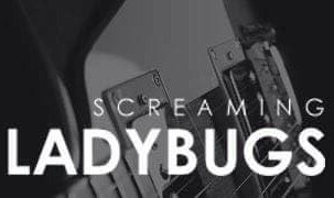 Screaming Ladybugs - Since I'm gone