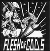 y.a.n.a. / flesh of gods - see you later
