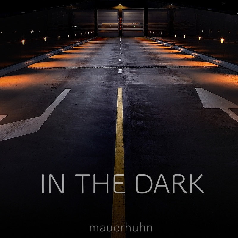 mauerhuhn - In the Dark