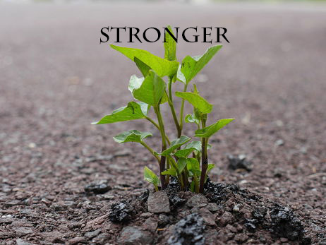 KLA - Stronger