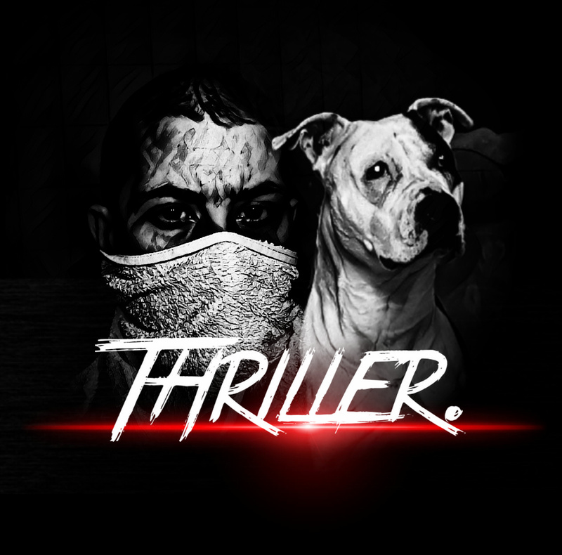 Thriller29525 - Thriller-get away  (derschein diss) 2017
