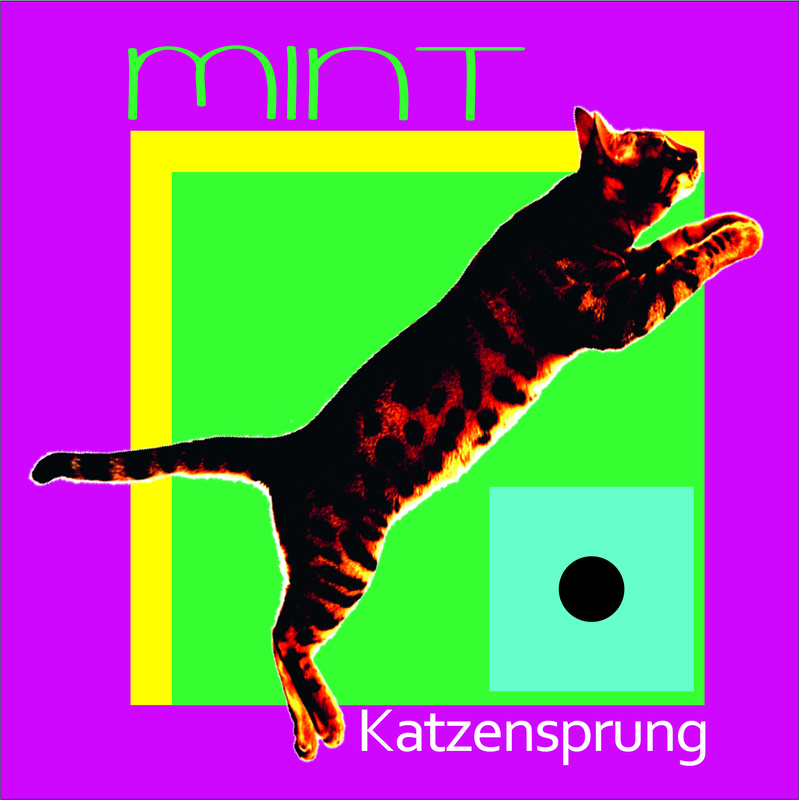 **MINT** - Katzensprung