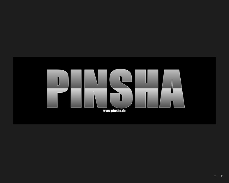 Pinsha - Band begins to play