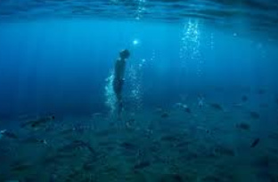 zeitgleichvier - into the deep