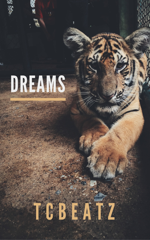 DJ Master T - Dreams