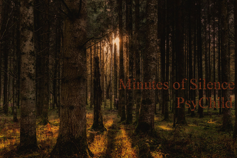 PsyChild - Minutes Of Silence