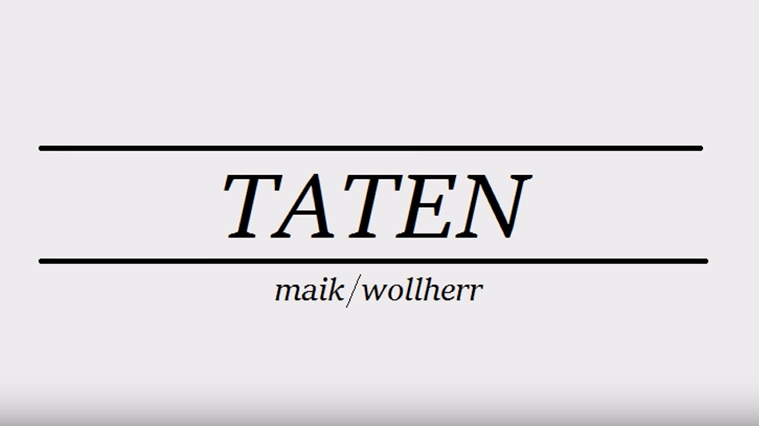 maik wollherr - Taten