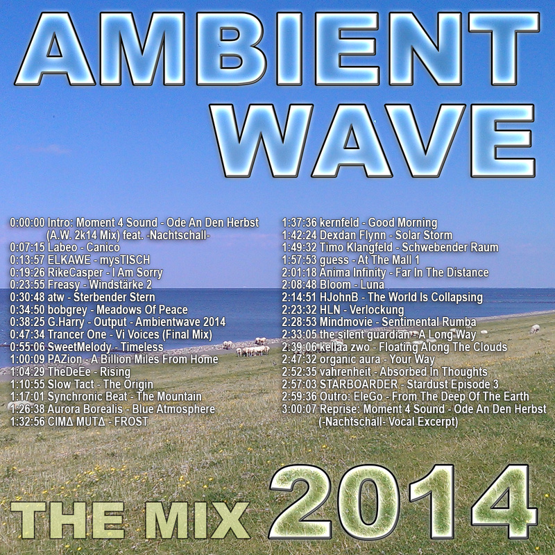 Ambient Wave 2014 - The Mix