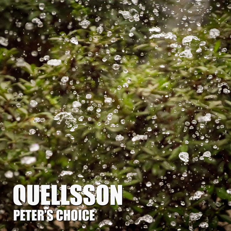 Quellsson - Peter's Choice