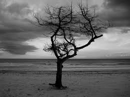 A.U.F - Paradise Lost