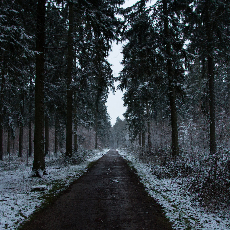 Dego - Winter