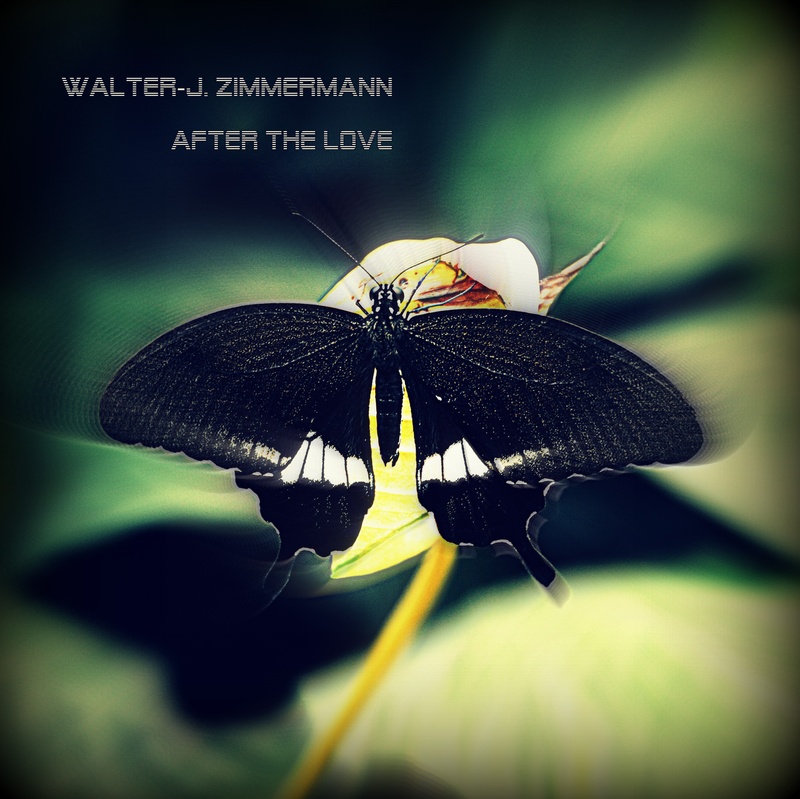 Walter-J. Zimmermann - after the love