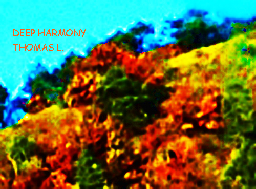 MUSIC = PASSION, LIFE AND LOVE - DEEP HARMONY