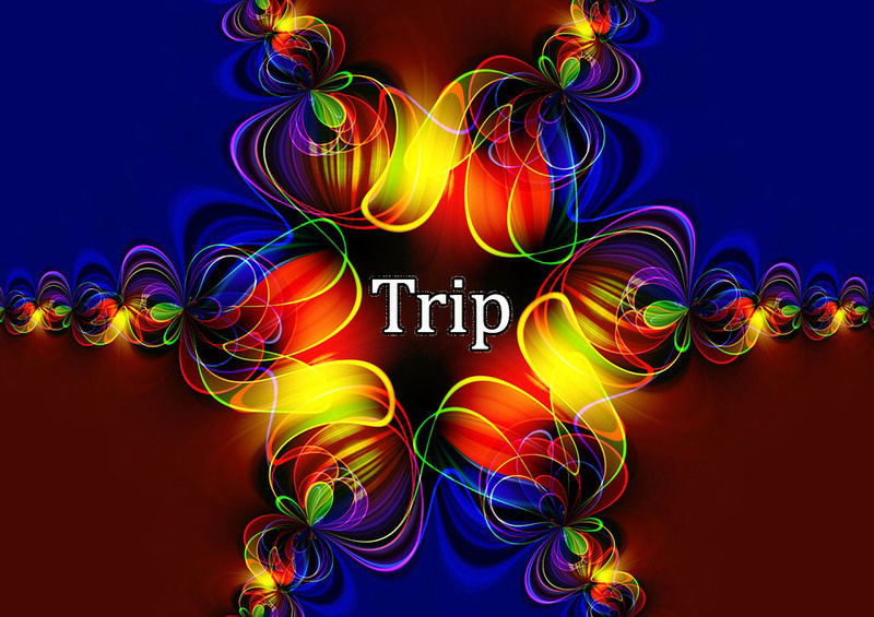Schallmodus - The Trip