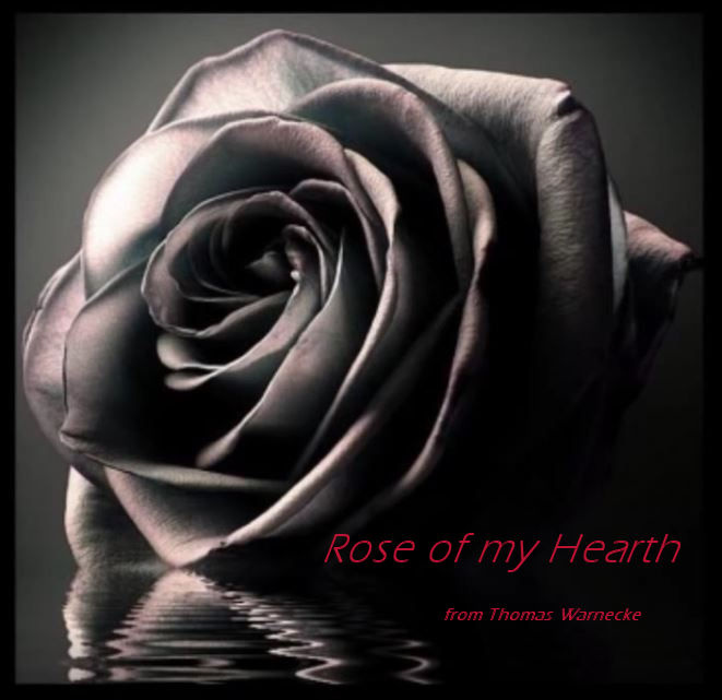 Thomas Warnecke - Rose of my hearth