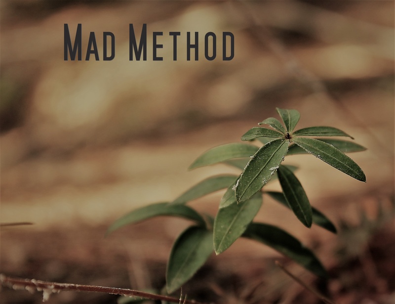 Mad Method - Faceless