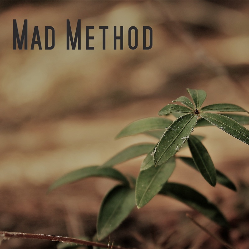 Mad Method - Weather