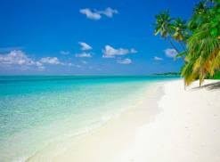 db - Enjoy the Summer