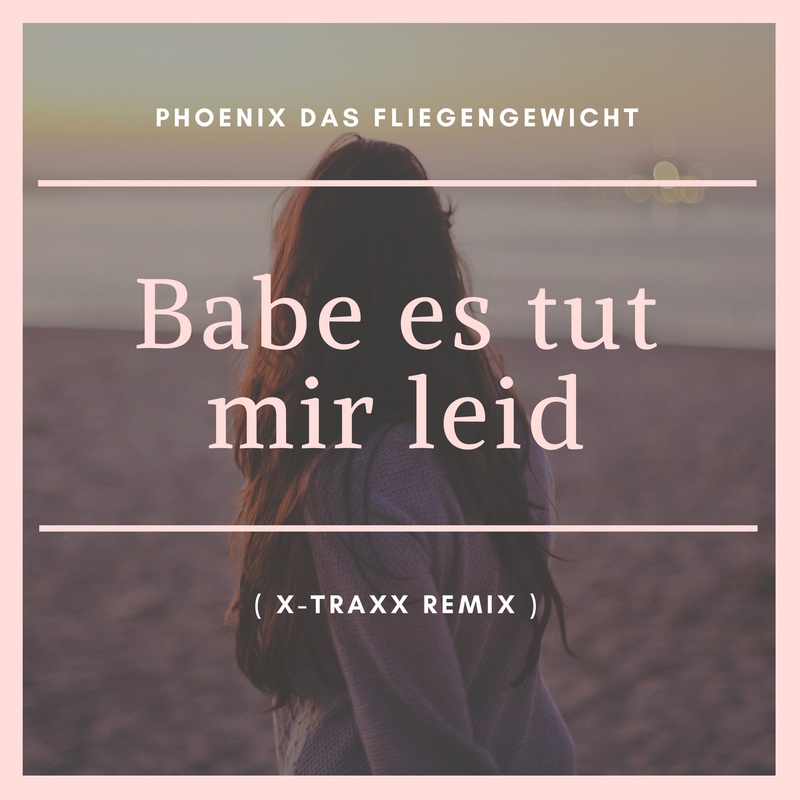 X-Traxx ( DJ Wolle ) - Phoenix das Fliegengewicht-Babe es tut mir leid ( X-Traxx Remix )