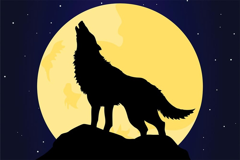 MAHULLA - Lonesome Wolf