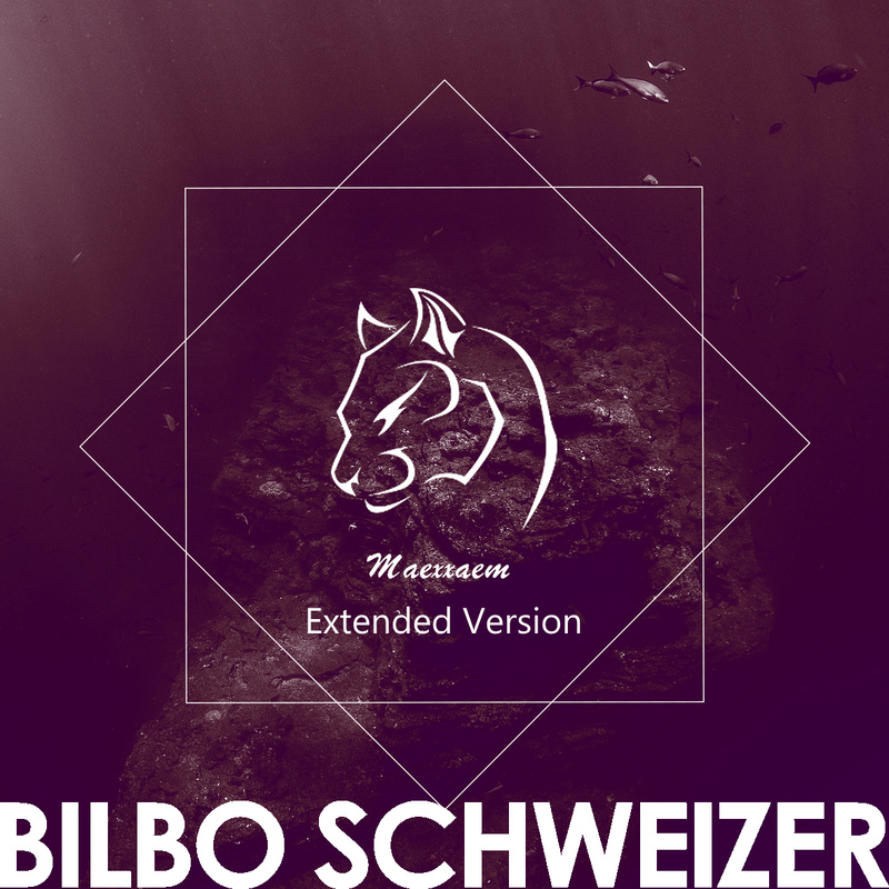 Bilbo Schweizer - Into Deep (Extended Mix)