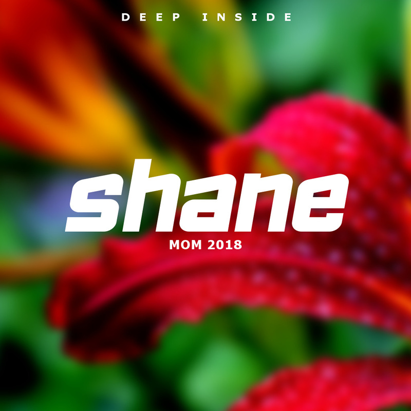 SHANE - Unberechenbar (REMAKE)