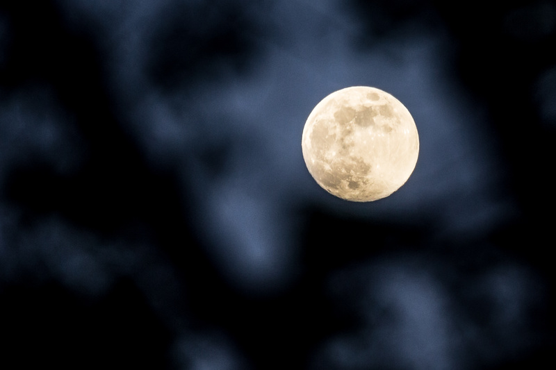 Marvys Dream - Blood Moon