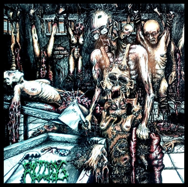 Rotting Bowels - Rage...