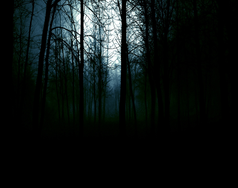 BOIS - deep in the forrest .rmx.