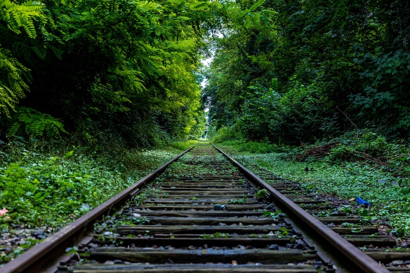 Dungeony - Forest Rails