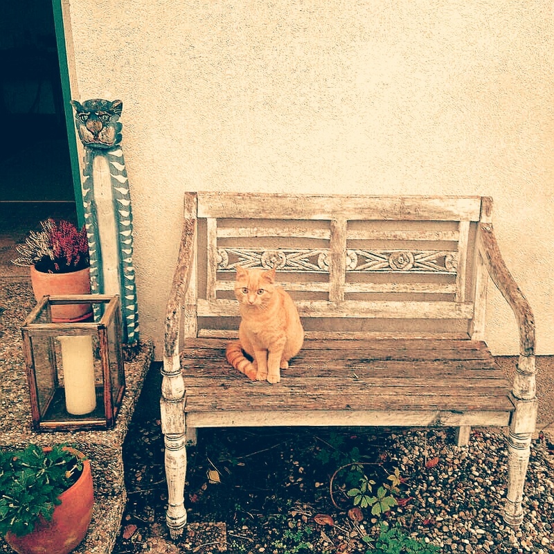 Mathissen - My Little Red Hairy Friend