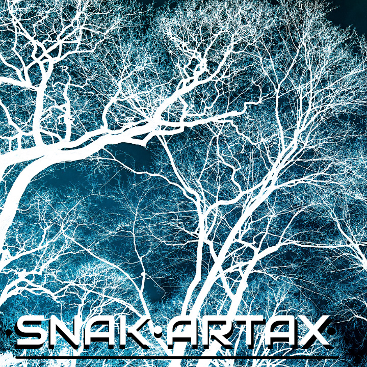 SNAK_ - SNAK - ARTAX