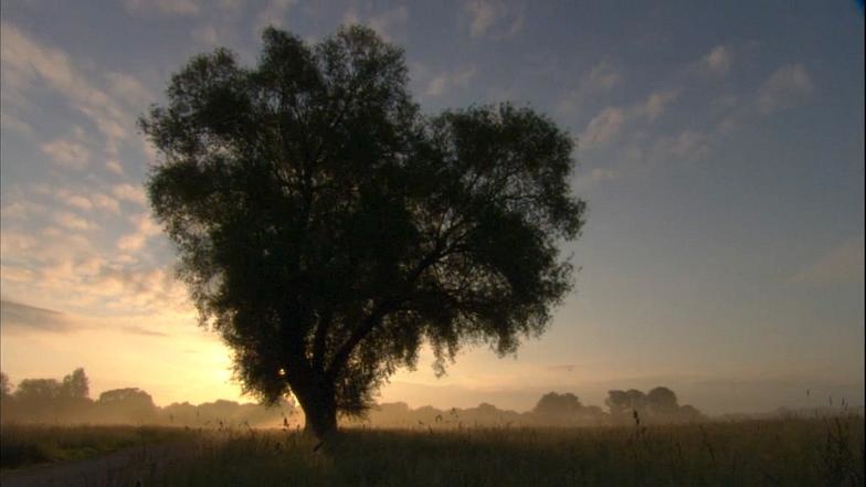 Kellerkind (Mathew Dandelion) - With the morning come the Colours