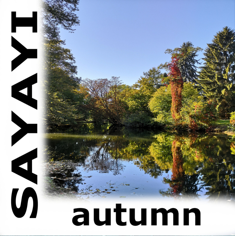 Sayayi - autumn