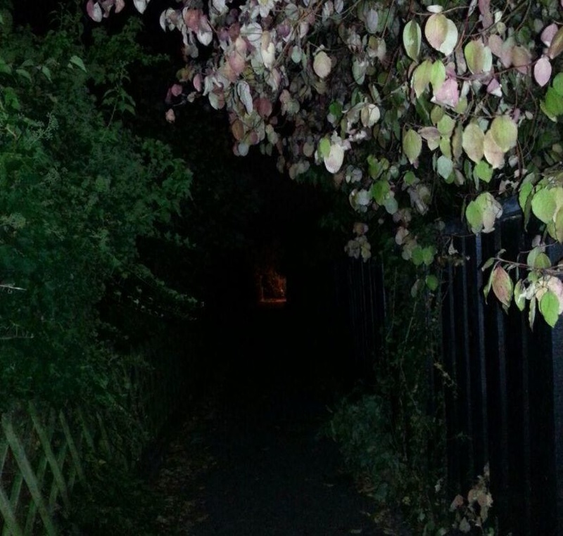 Guikate - Hidden Lane