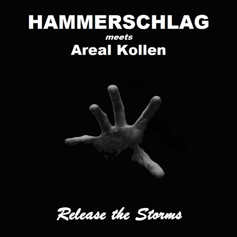 HAMMERSCHLAG - The Raven (Psycho in the Flock Remix by diagnosis: autopsychosis)