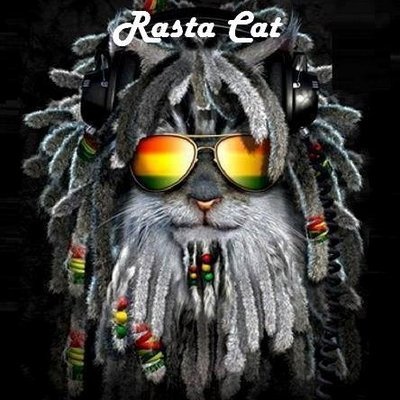Dennsei - Rasta Cat