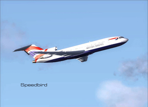 Strange Smile - Speedbird