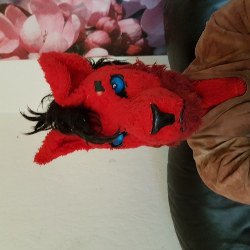 Lupus van de Wolf - Fealis