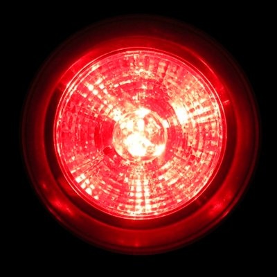 Der Makrophag - Zimmer 101