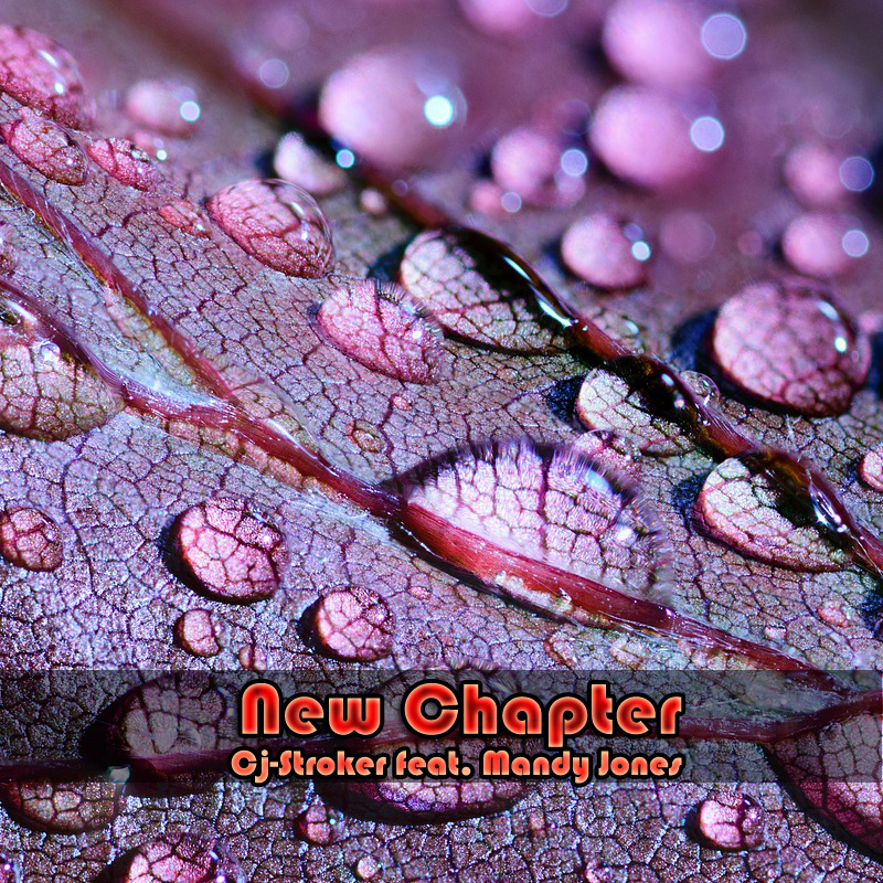 Cj-Stroker - New Chapter (Original Mix)
