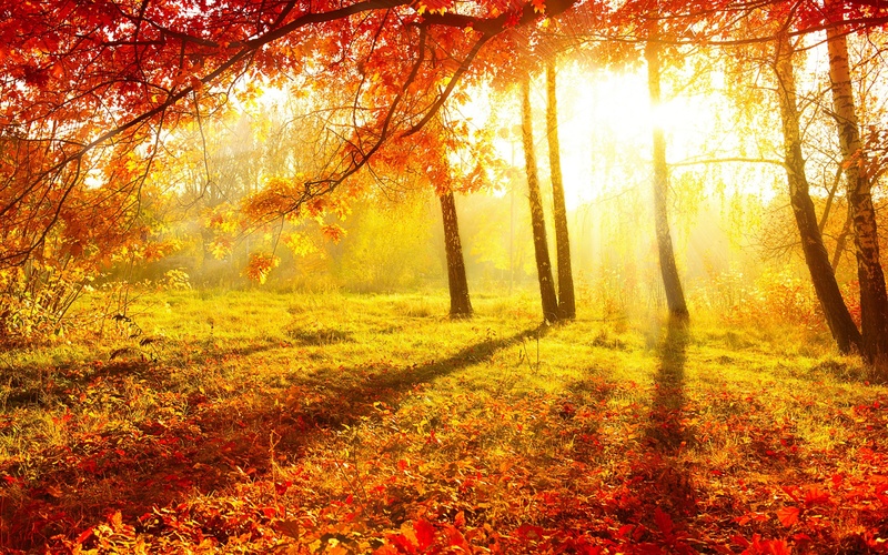 New Hope - Autumn-Sun