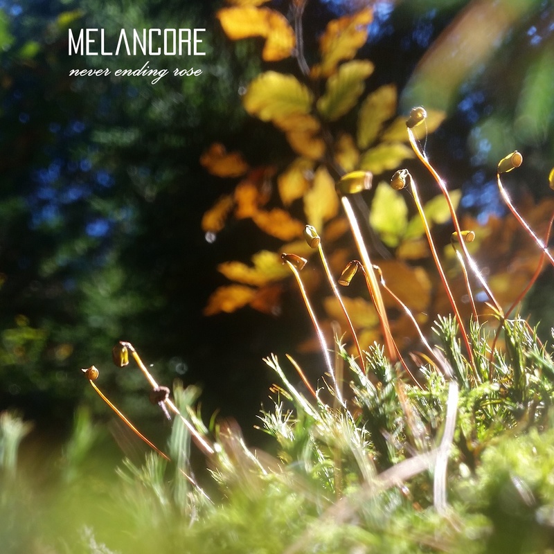Melancore - never ending rose