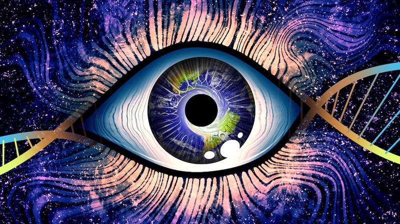 DG.ZAWADY - ShamanicVoice *neuer Aufbau*_&_Idee