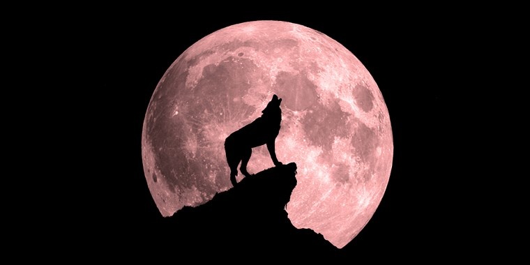 MAHULLA - Lonesome Wolf V3