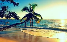 Dee_Base - The Summer is here