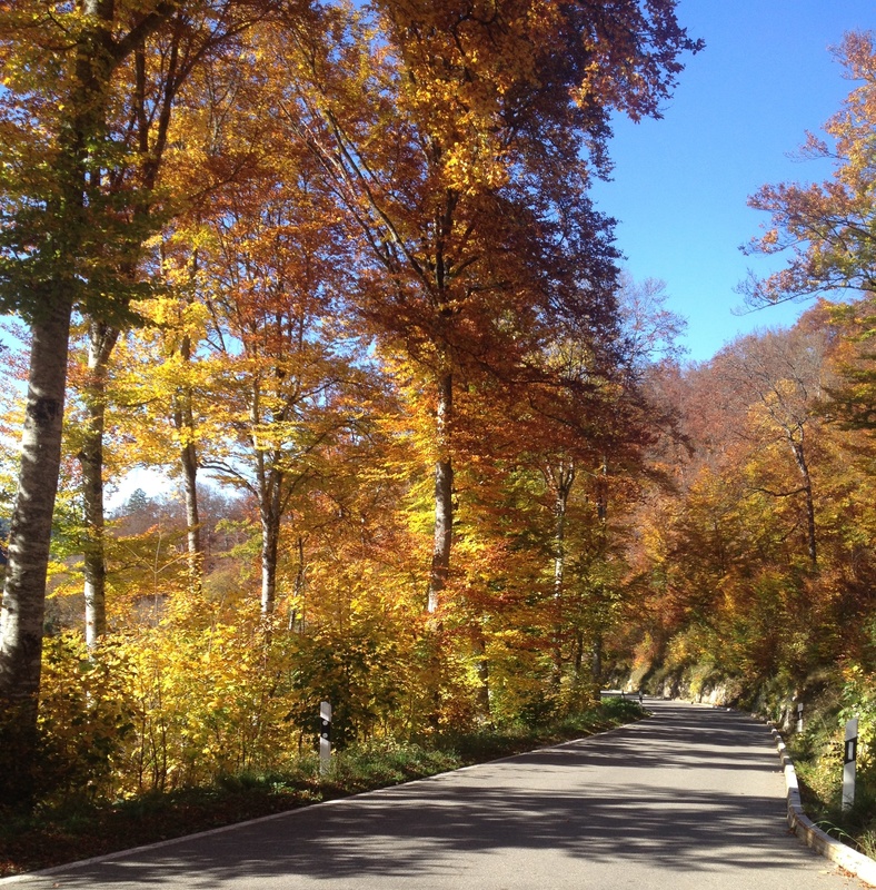 Bonnelfi - Herbstfarben (lange Fassung)