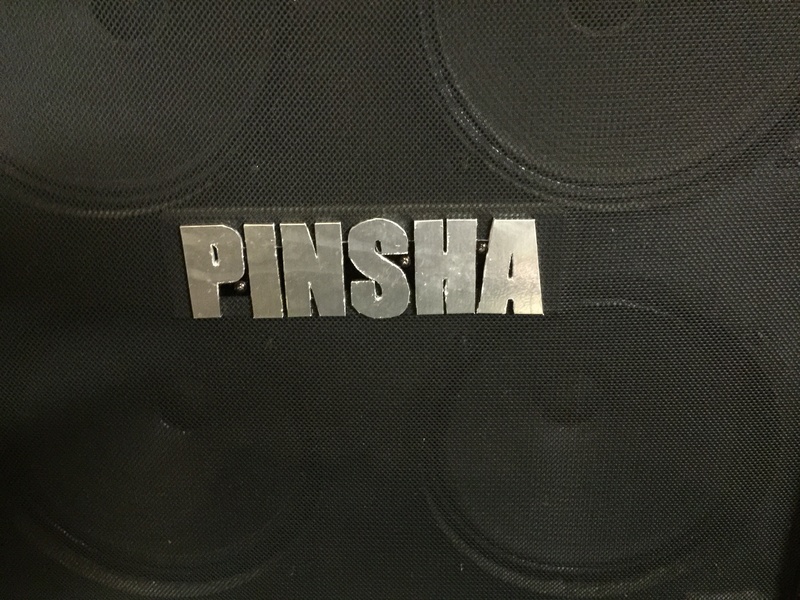Pinsha - Behind the Mask